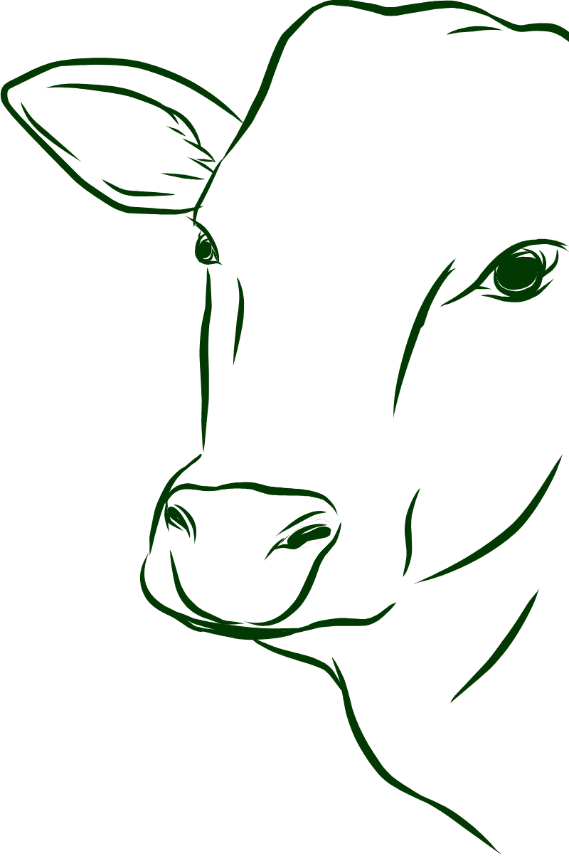 Financial Services for Agro Industry Financial Services for Agro Industry