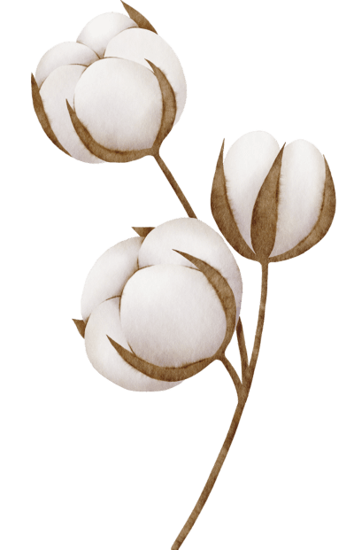 Financial Services for Cotton industry Financial Services for Cotton industry