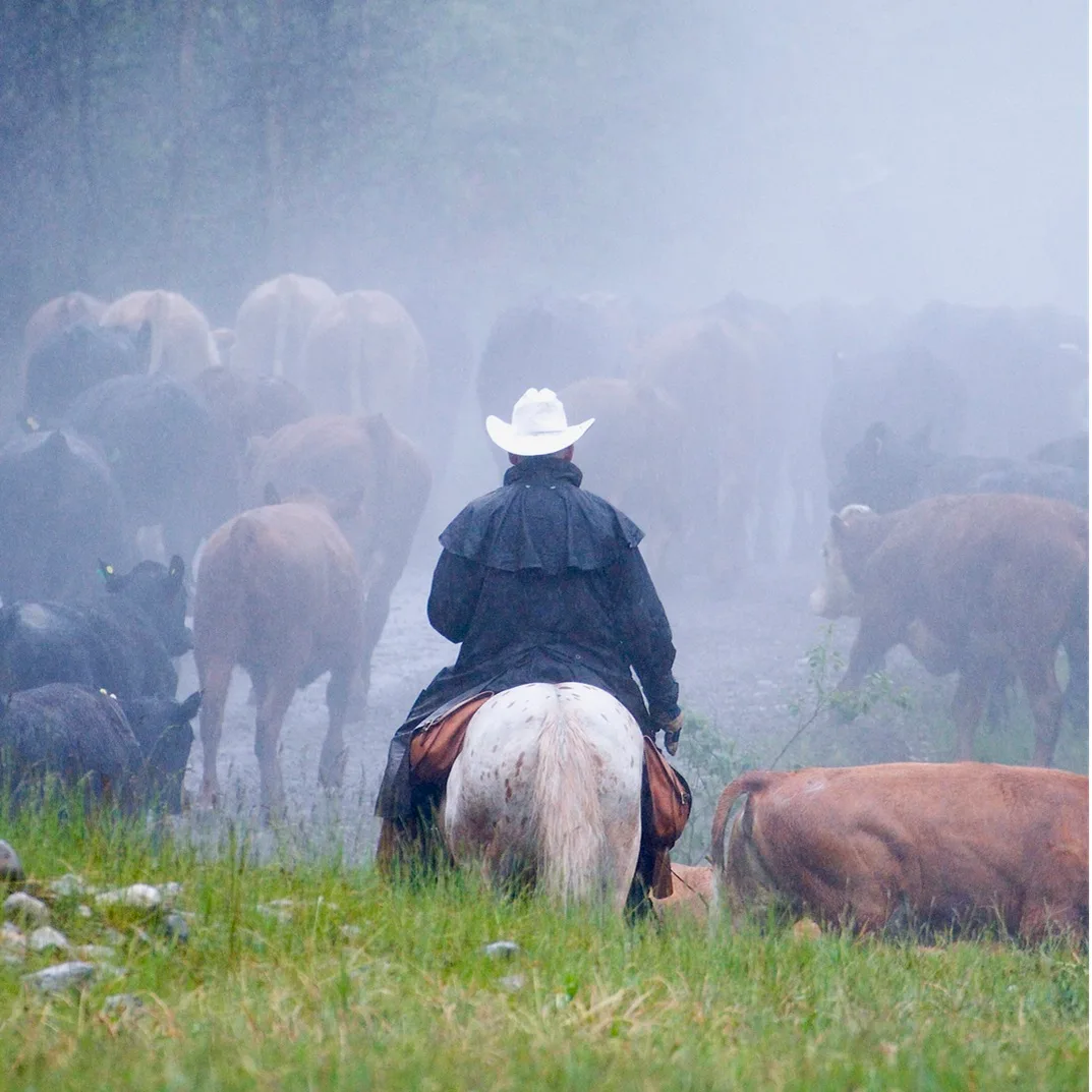 AG Management Services
