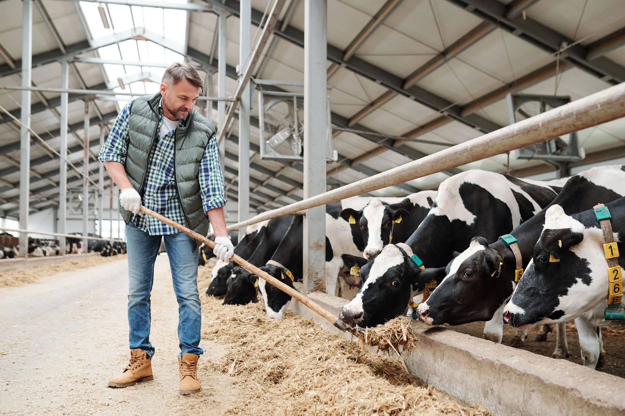 Whole-Farm Insurance