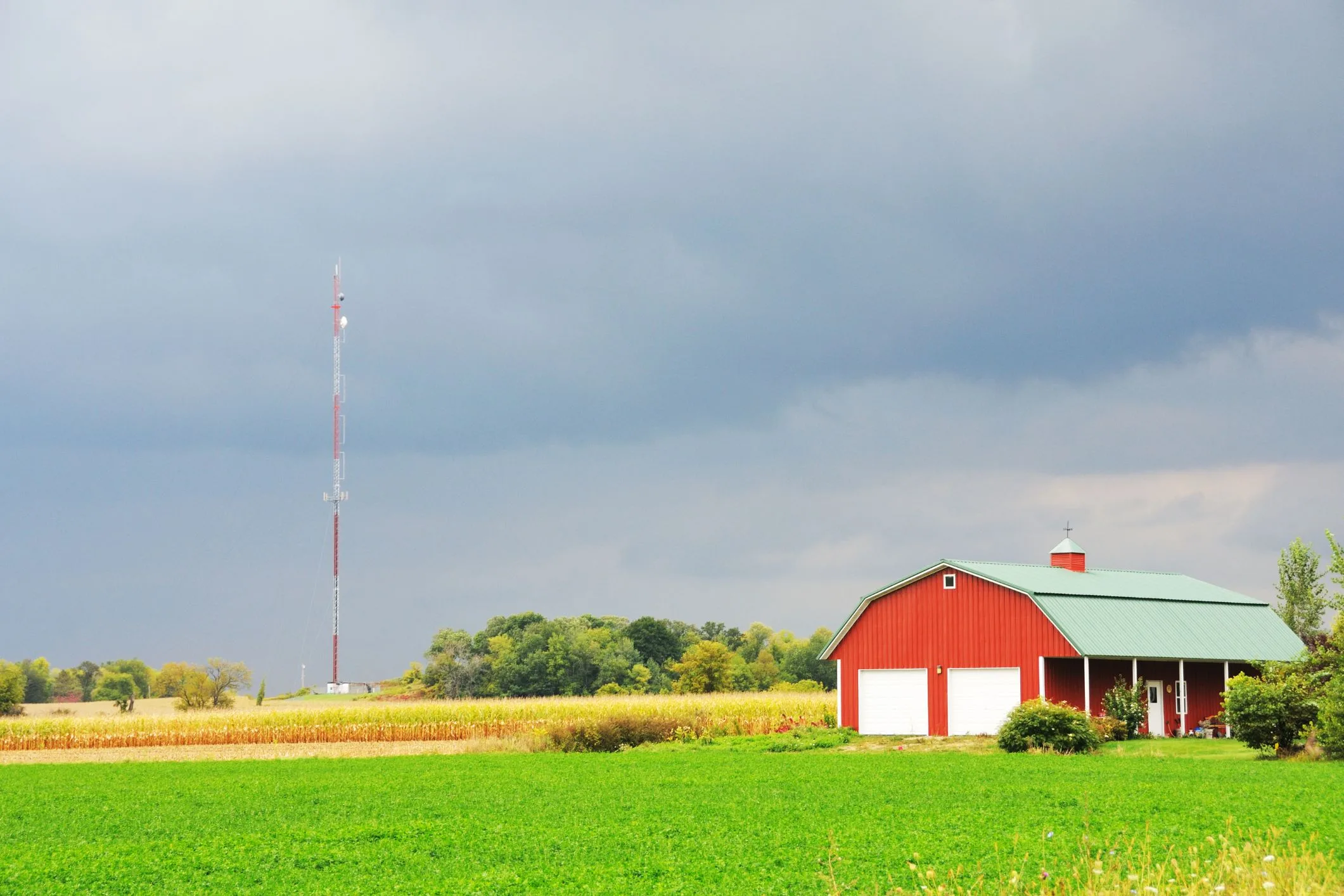 Whole Farm Revenue Protection 